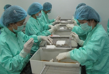 international organizations seek cooperation with vietnam in covid 19 vaccine producing